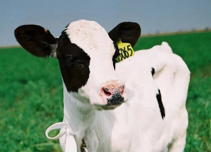 LETOU - 乐投(国际米兰)官方网站