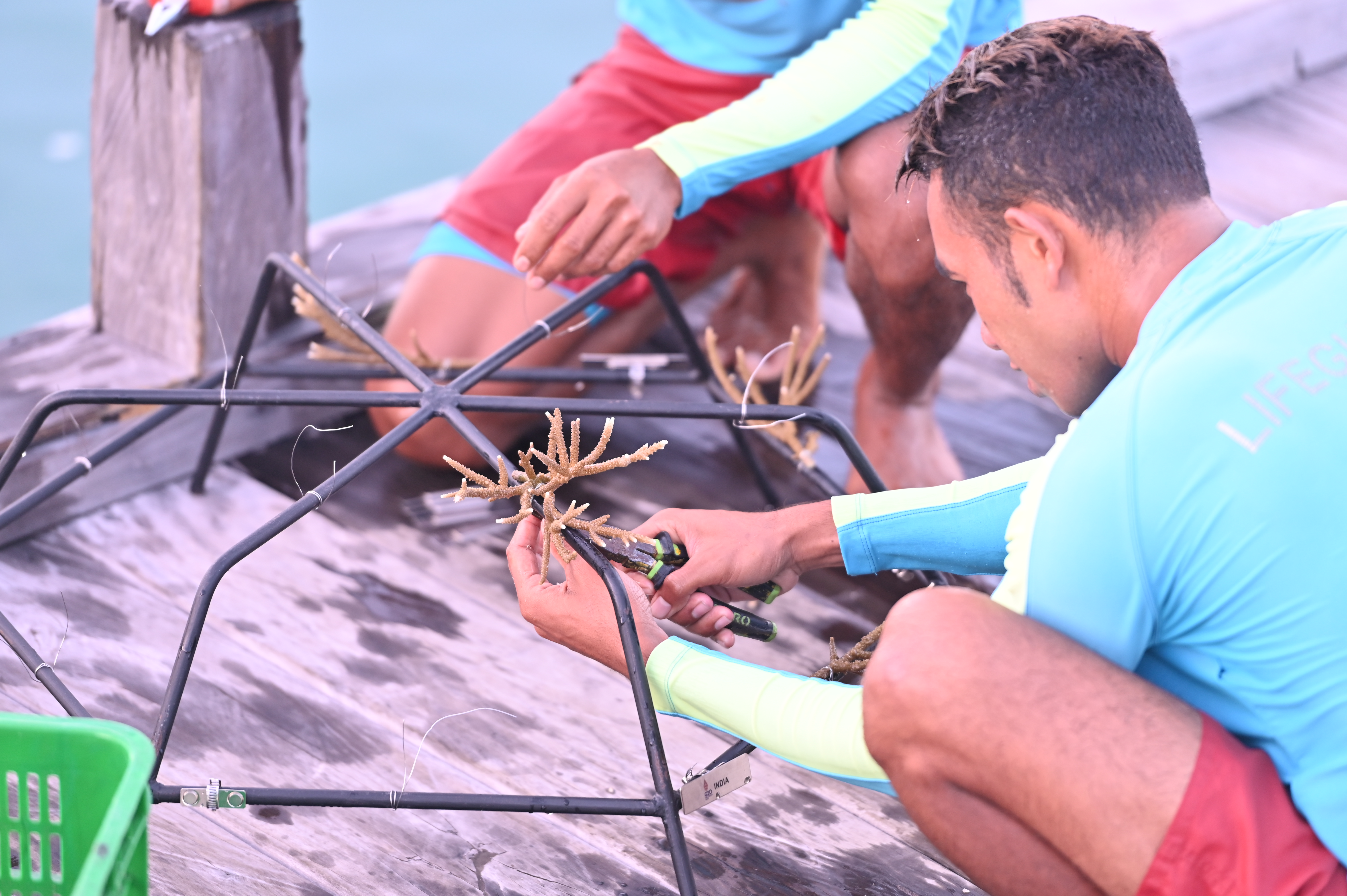 LETOU - 乐投(国际米兰)官方网站