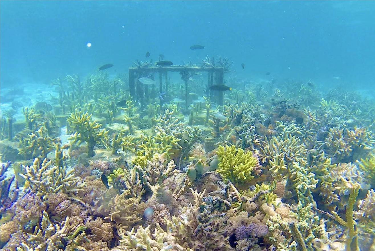 LETOU - 乐投(国际米兰)官方网站